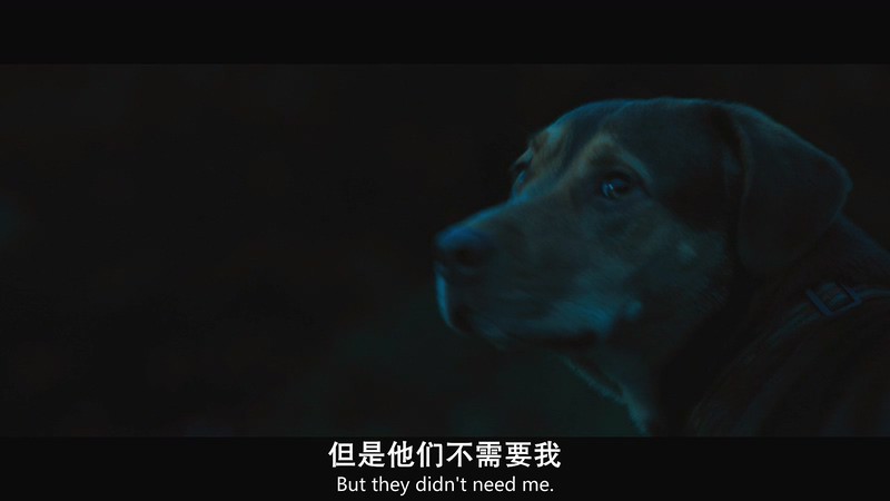 [BD-MP4]一条狗的回家路 / 贝拉400哩的约定(港) / 为了与你相聚(台) / A Dog's Way Home (2019)截图